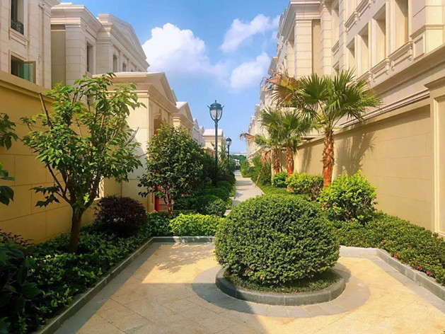 1561432887614750.jpg 10.jpg